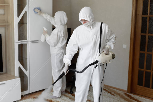 Best Industrial Mold Remediation in Franklin, OH